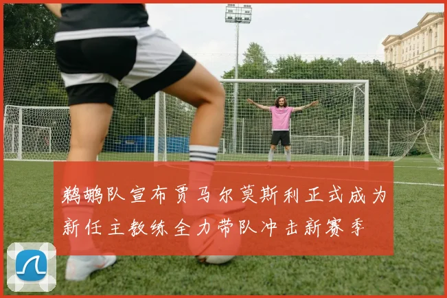 鹈鹕队宣布贾马尔莫斯利正式成为新任主教练全力带队冲击新赛季