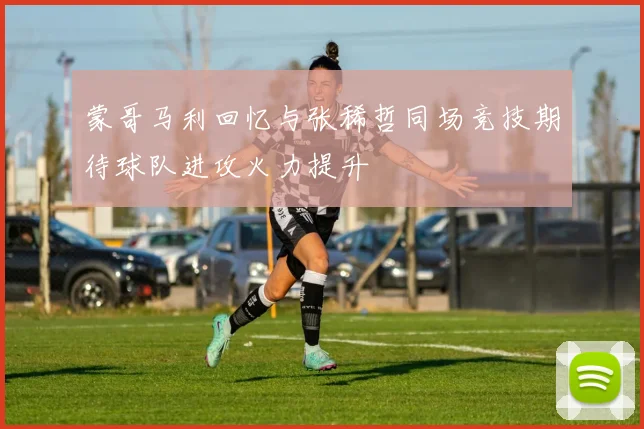 蒙哥马利回忆与张稀哲同场竞技期待球队进攻火力提升