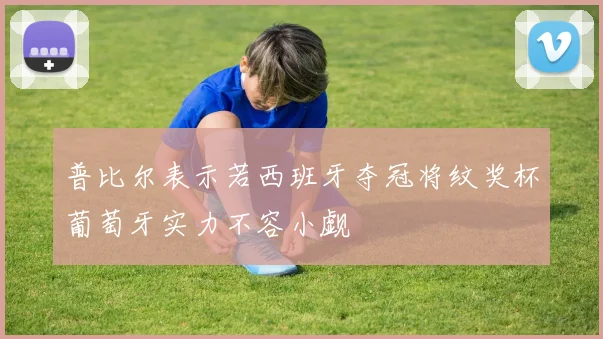 普比尔表示若西班牙夺冠将纹奖杯葡萄牙实力不容小觑